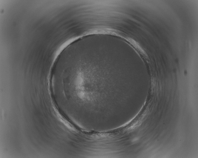 X0000066010846200603061255