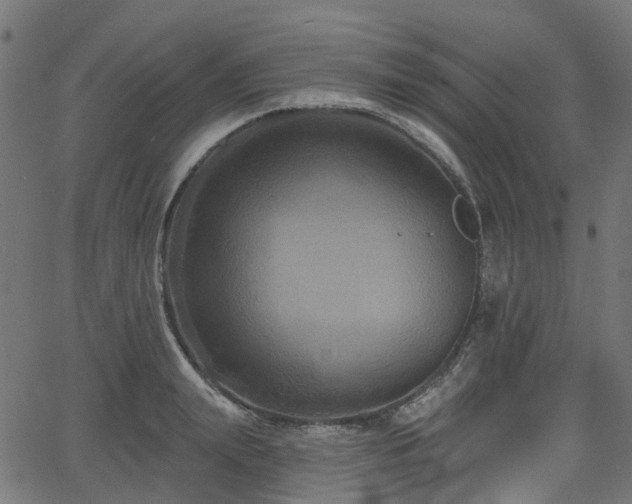 X0000066010847200603061255