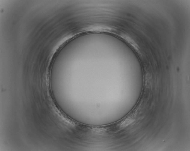 X0000066010848200603061255