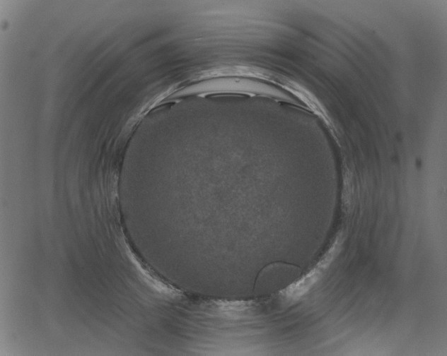 X0000066010849200603061255