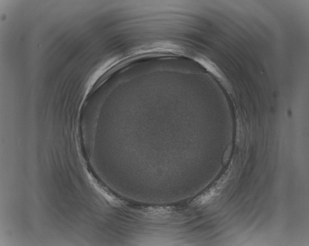 X0000066010850200603061255