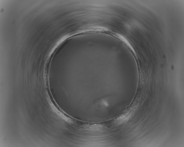 X0000066010851200603061255