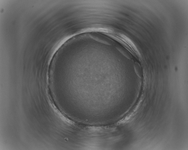 X0000066010852200603061255