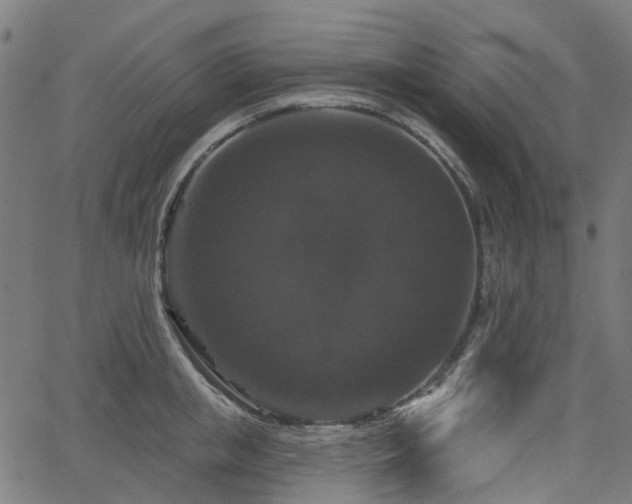 X0000066010853200603061255