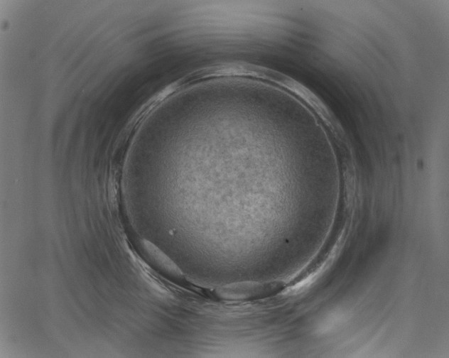 X0000066010857200603061255