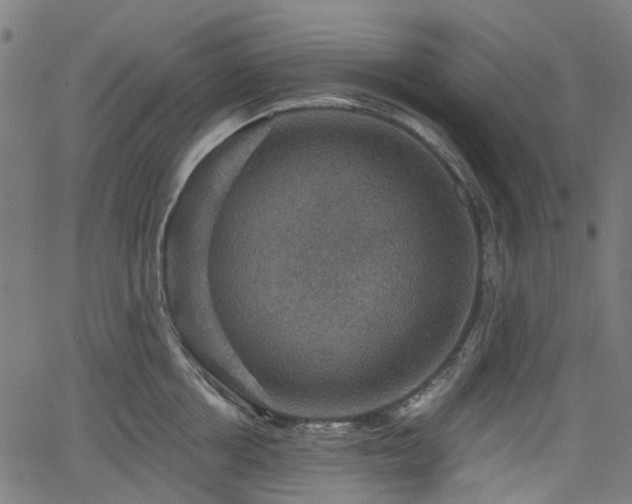 X0000066010858200603061256