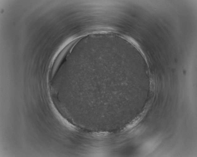 X0000066010859200603061256