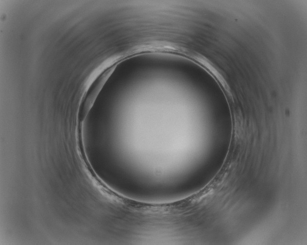 X0000066010861200603061256