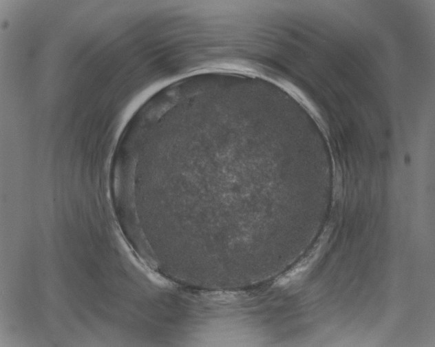 X0000066010862200603061256