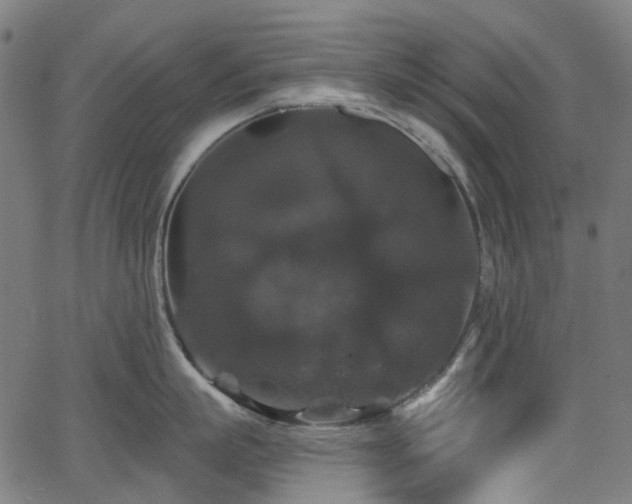 X0000066010863200603061256