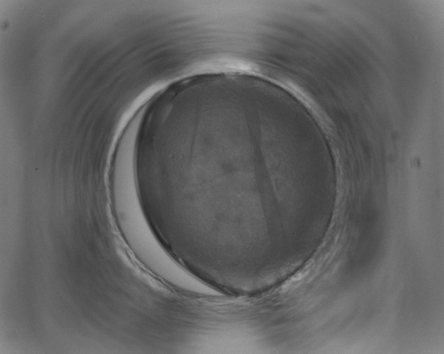 X0000066010864200603061256