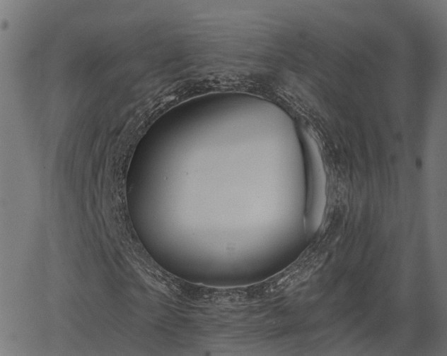 X0000066010865200603061255