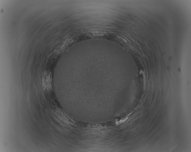 X0000066010866200603061255