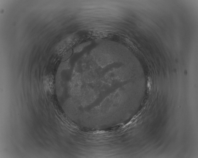 X0000066010867200603061255