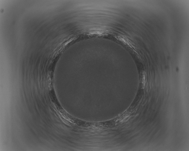 X0000066010868200603061255