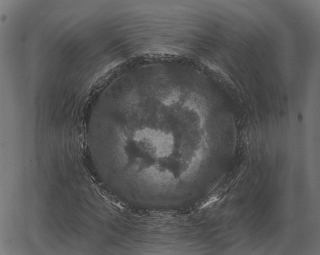 X0000066010870200603061255