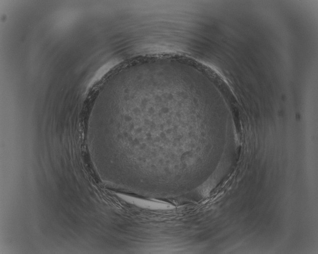 X0000066010871200603061255