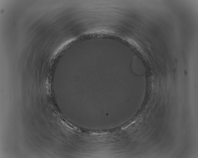 X0000066010872200603061255