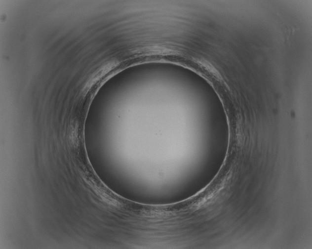 X0000066010873200603061255