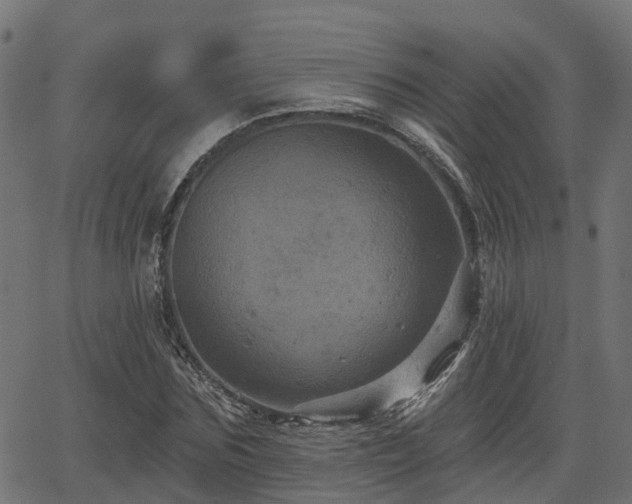 X0000066010875200603061255