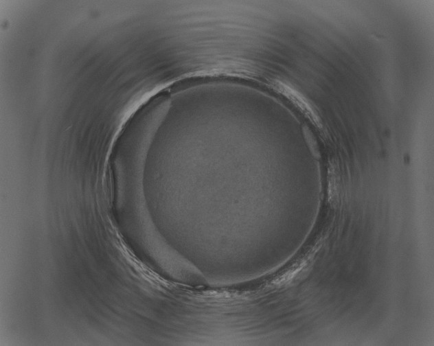 X0000066010876200603061255