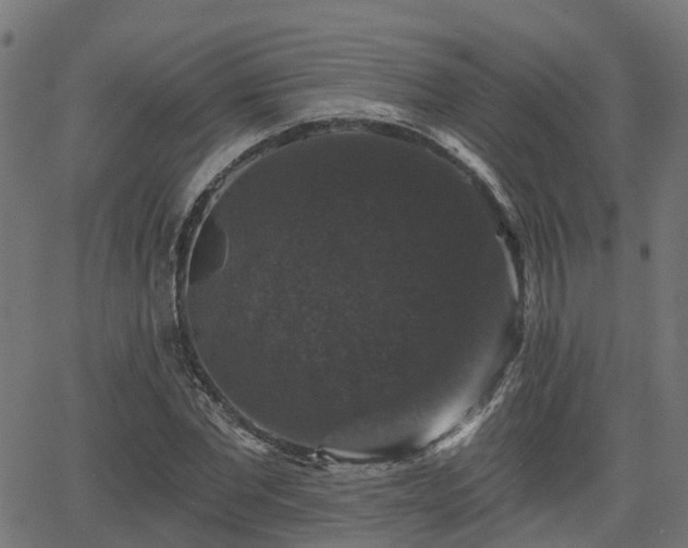 X0000066010877200603061255