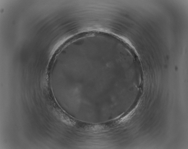 X0000066010879200603061255