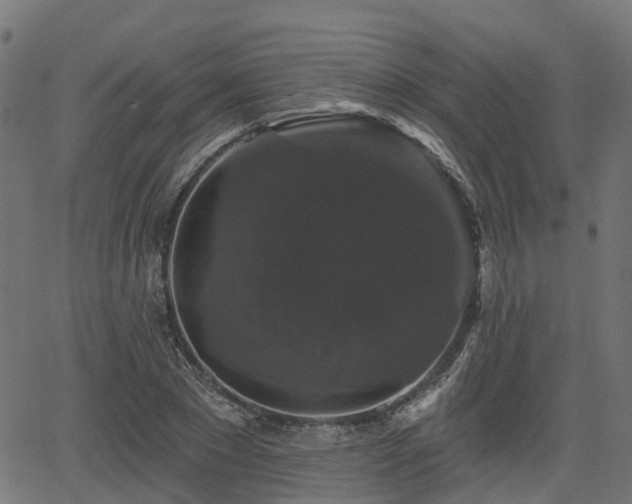 X0000066010881200603061255