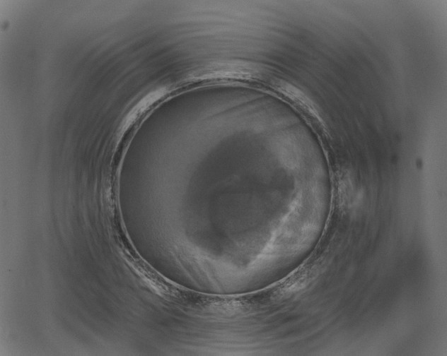 X0000066010882200603061255