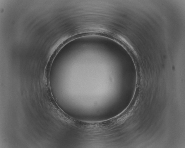 X0000066010883200603061255