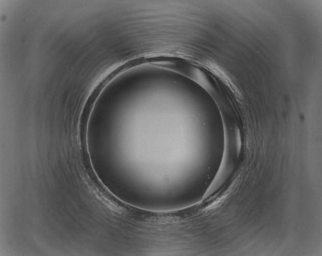 X0000066010884200603061255