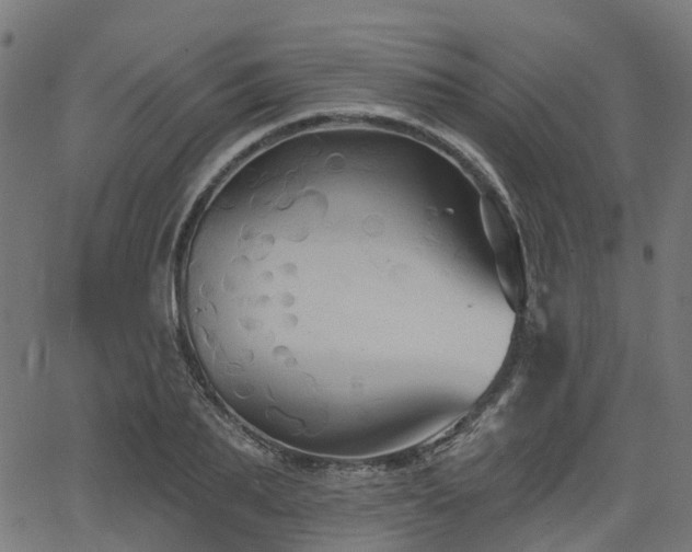 X0000066010887200603061254