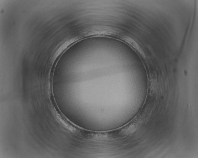 X0000066010890200603061254