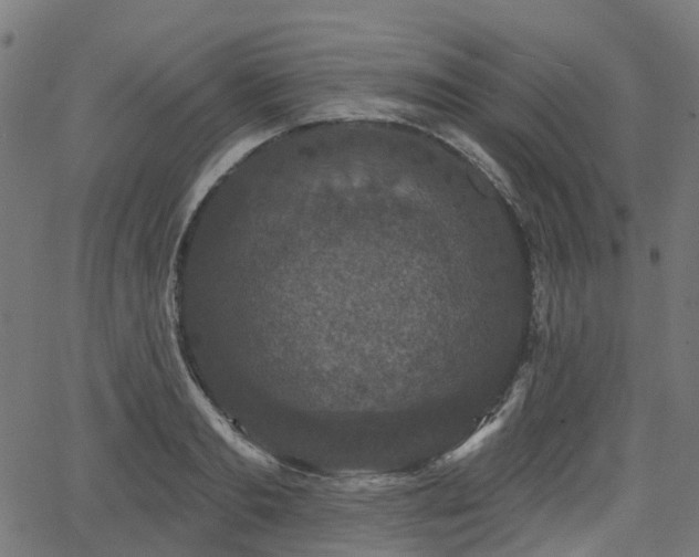 X0000066010893200603061254