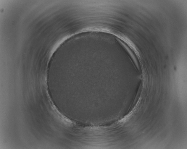 X0000066010896200603061254