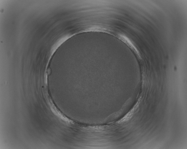 X0000066010900200603061254