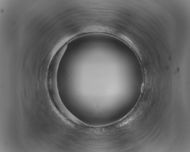 X0000066010901200603061254