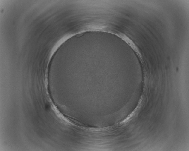 X0000066010904200603061254