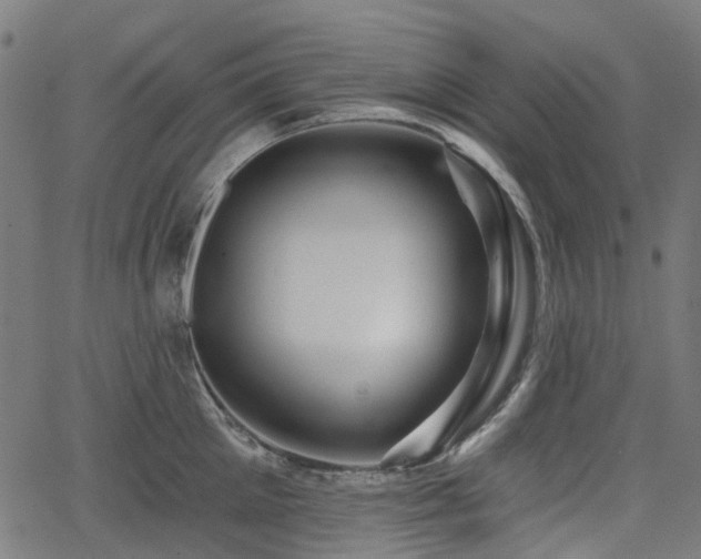 X0000066010905200603061254