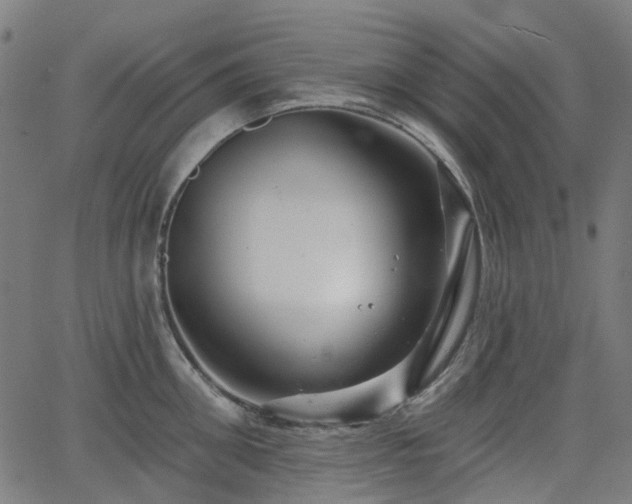 X0000066010906200603061254