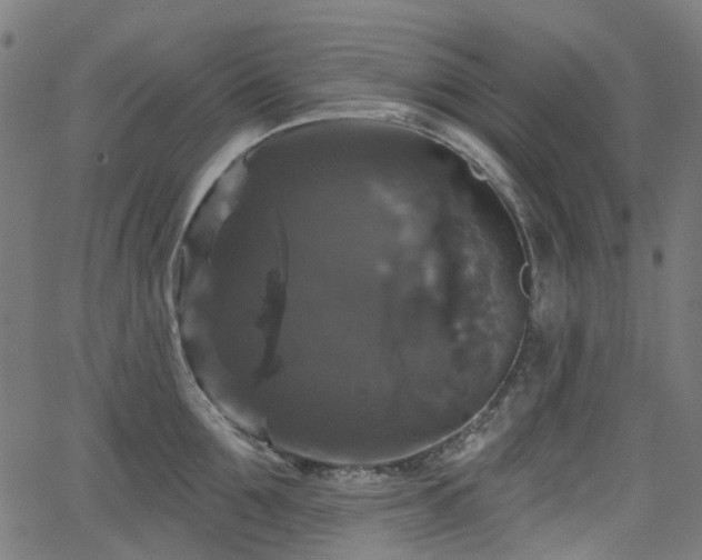 X0000066010907200603061254