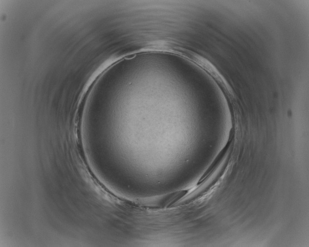 X0000066010908200603061254