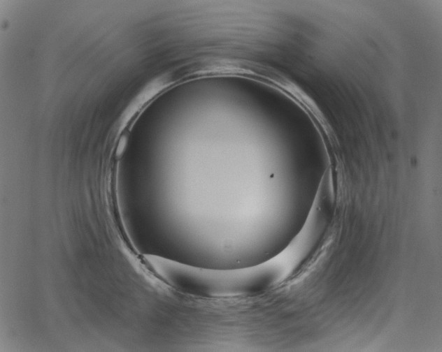 X0000066010909200603061254