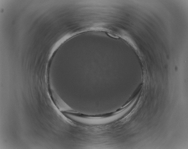 X0000066010910200603061254