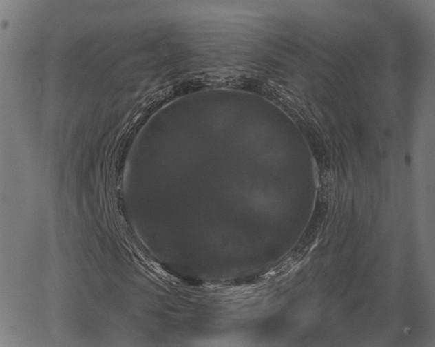 X0000066010913200603061253