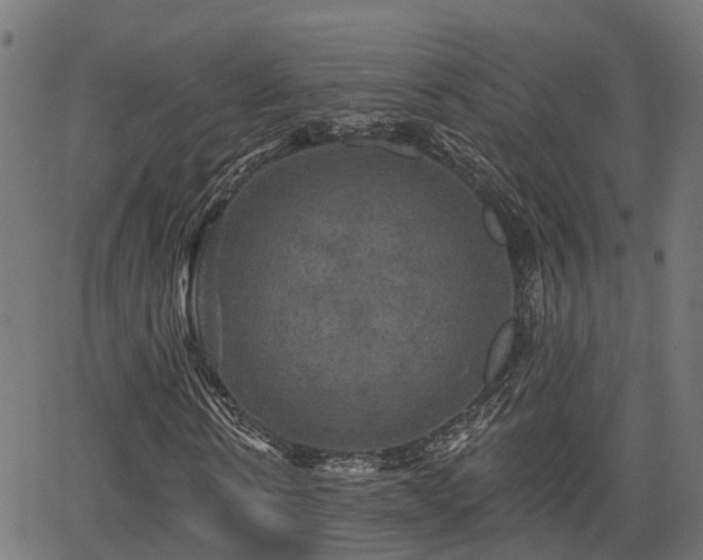 X0000066010914200603061253