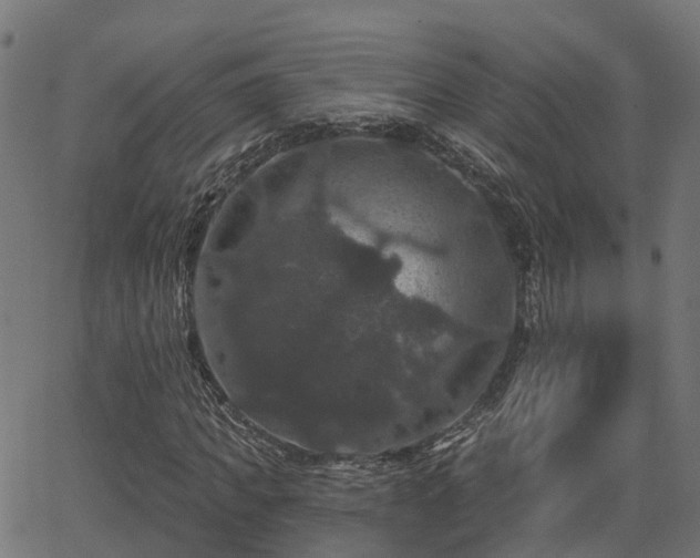 X0000066010917200603061253