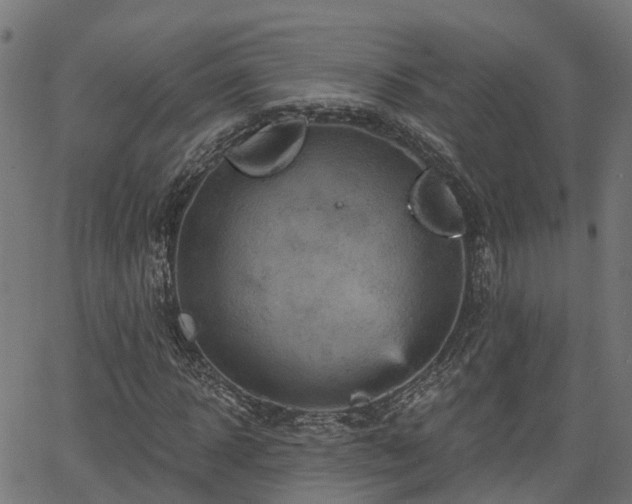 X0000066010918200603061253