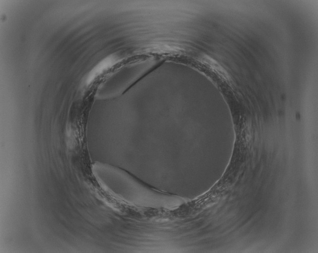 X0000066010920200603061253