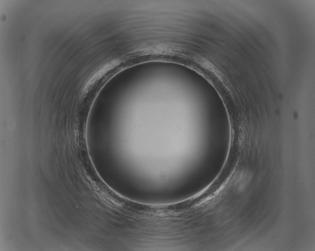 X0000066010922200603061253